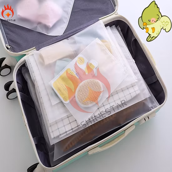 再密封可能なジップロックジッパーバッグ衣料品包装プラスチックビニール袋衣料用つや消しスライダー付き